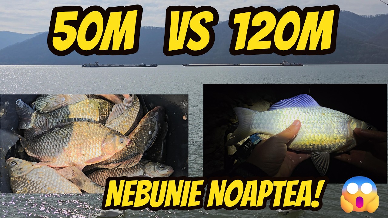 Noaptea a rupt tot la caras ! Prima partidă 2026 pe Dunăre !!! Night Fishing Action !