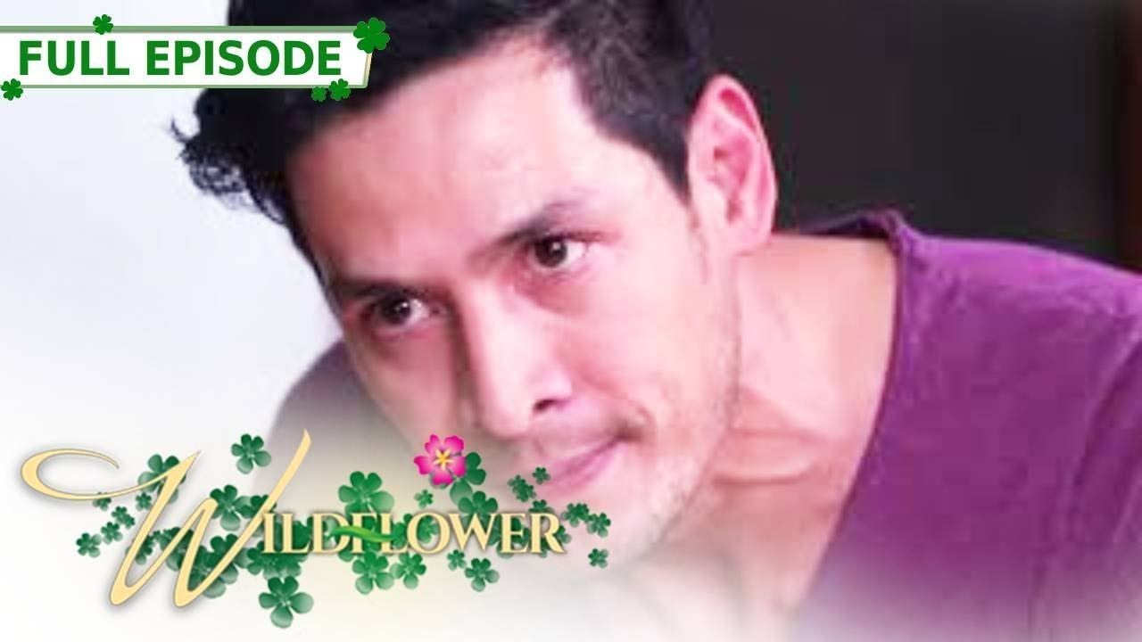 Full Episode 156 | Wildflower with ENG SUB | Maja Salvador, Joseph Marco, RK Bagatsing