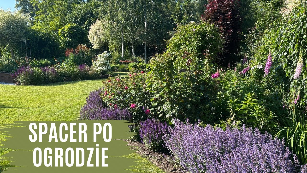 Spacer po ogrodzie. Prace ogrodowe w czerwcu✂️🌸