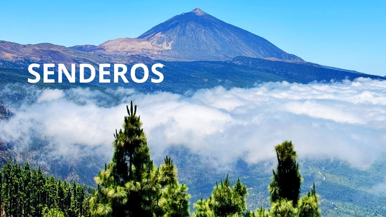 Senderismo silencioso en las montañas (ASMR) sonido del bosque
