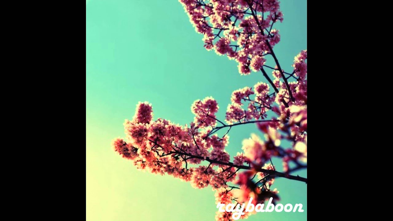 Yuga - Raybaboon