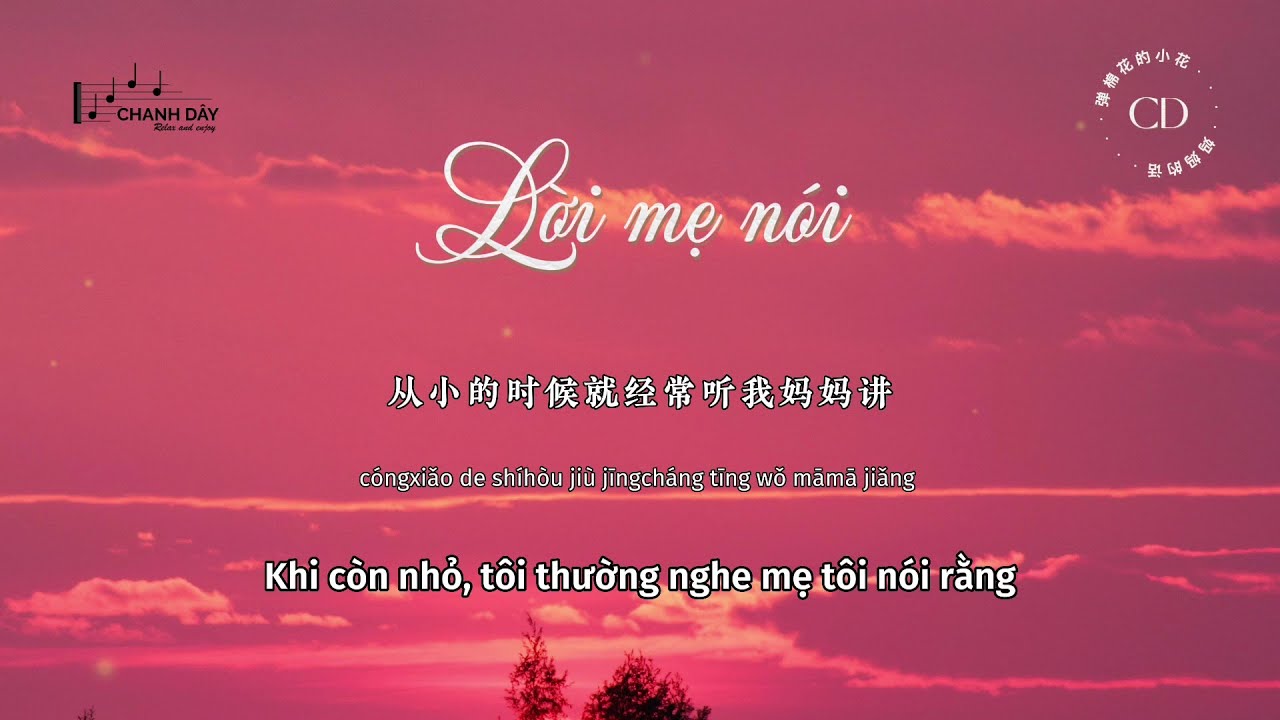 [Vietsub] Lời mẹ n&oacute;i (妈妈的话) - Đ&agrave;n Mi&ecirc;n Hoa Đ&iacute;ch Tiểu Hoa (弹棉花的小花) - Bản nữ - Hot Douyin