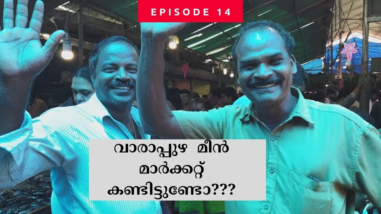 വരാപ്പുഴ  മീൻ മാർക്കറ്റ് || Fresh fishes @ Varapuzha market