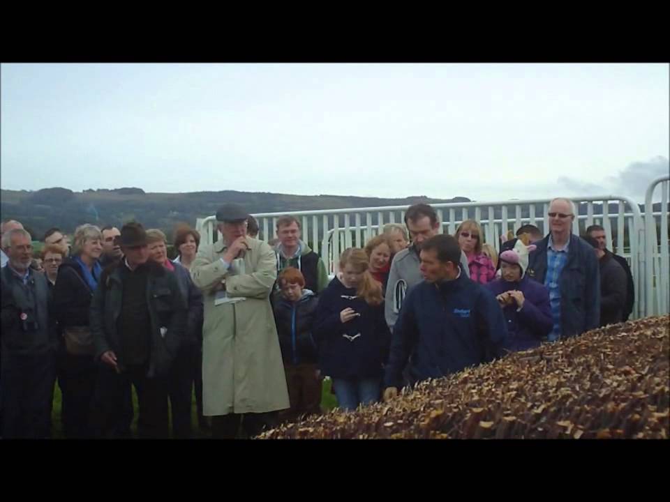 Mattie Batchelor at the last fence Cheltenham - Funny!