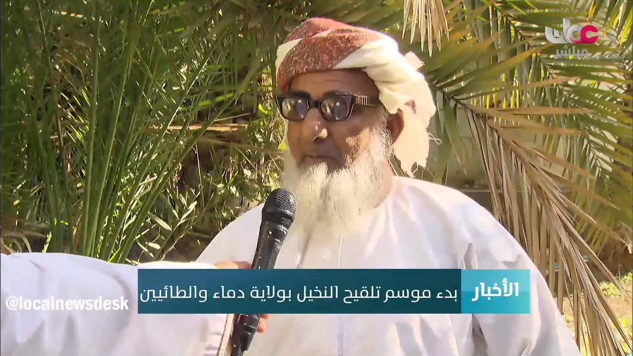بدء موسم تلقيح النخيل بولاية دماء والطائيين