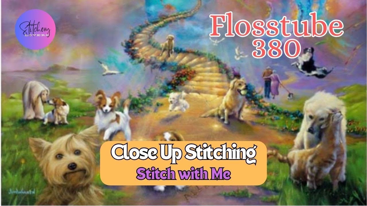Let's Stitch the HAED Mini All Dogs Go To | Flosstube #380  SWM Close-Up Stitching STITCHERY LOVERS