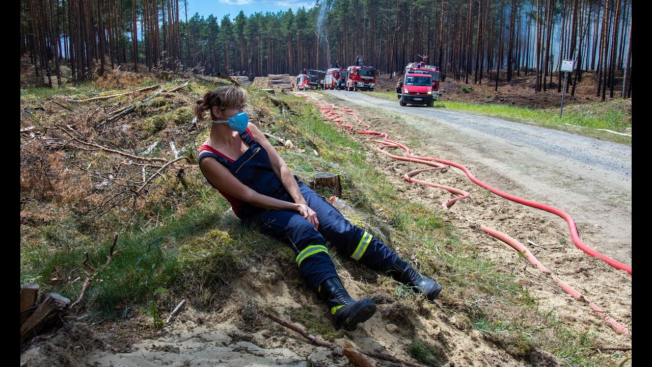 WELT THEMA: Riesiger Waldbrand bei Lübtheen - Weiterer Ort evakuiert