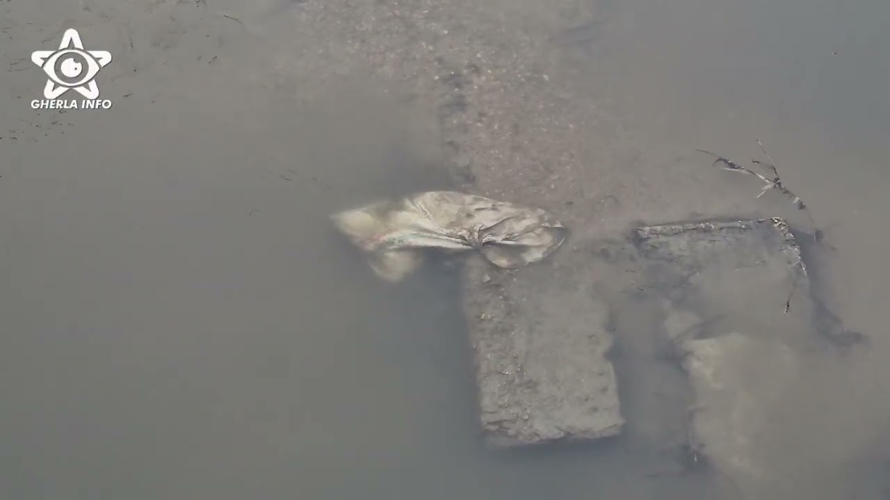 Cautare pe Somes dupa baiatul disparut - ziua 4 Gherla (Cluj)