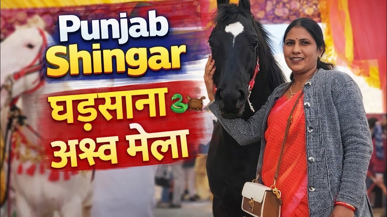 घढ़साना के अशव मेले में पंजाब शृंगार घोड़े के पहुंचने पर दो लाख से ज्यादा की भीड़ #gharsana #rawla 