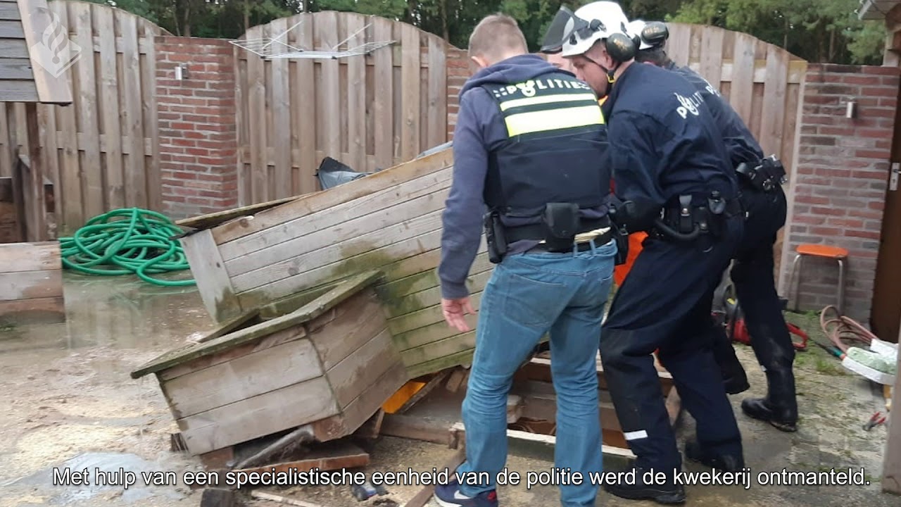 Ondergrondse hennepkwekerij opgerold in Vriescheloo