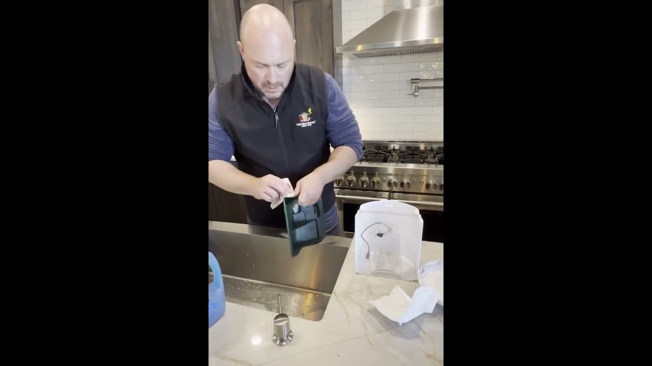 Cleaning Your BirdReel Smart Bird Feeder