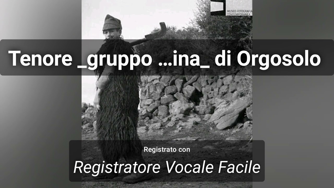 Tenore 