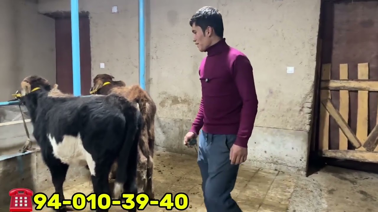 26-fevral, 2026