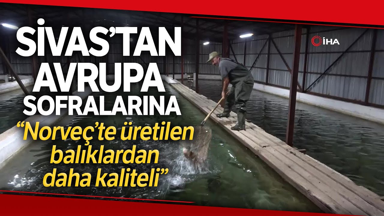 Türkiye’nin Balık İhtiyacının Yüzde 10’u Bozkırın Ortasında Üretiliyor