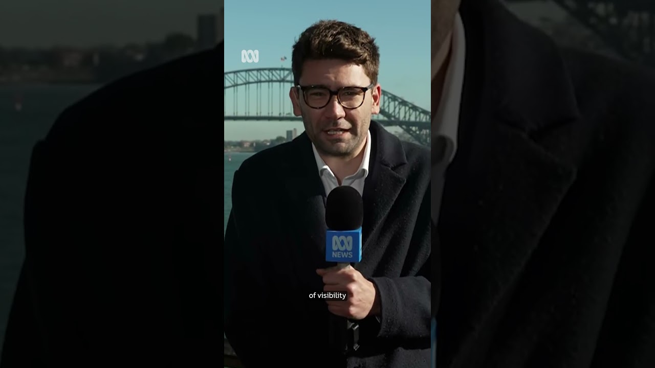 Morning fog envelopes Sydney | ABC NEWS