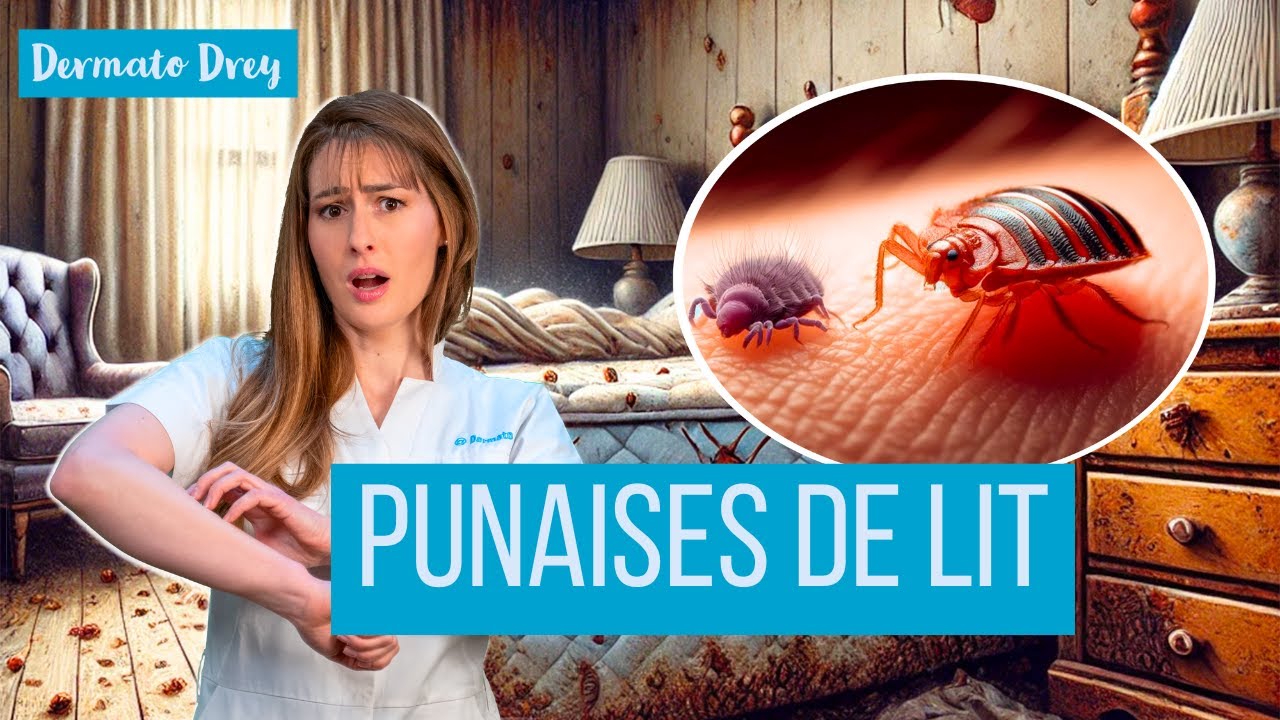 Punaises de lit : comment les éviter et/ou traiter sa maison ?