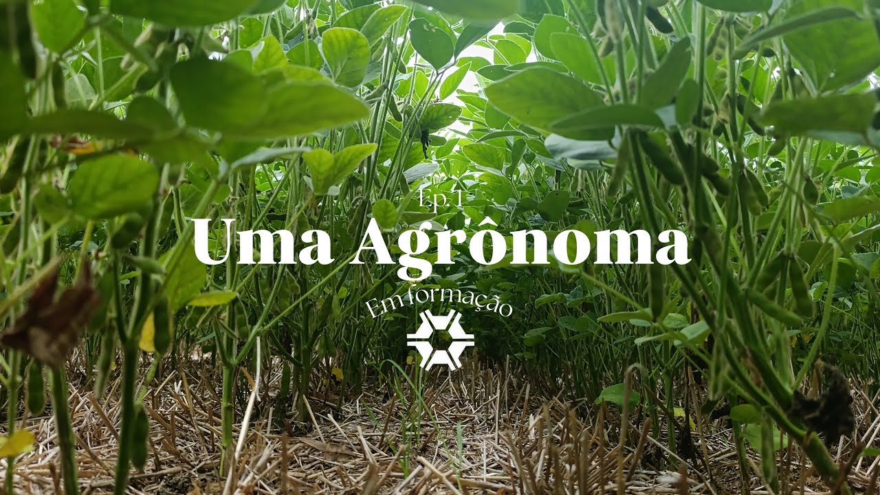 Uma agrônoma em formação. #1🌱