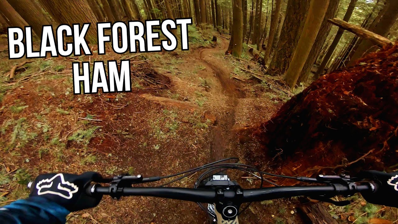 Black Forest HAM // Vedder Mountain, BC