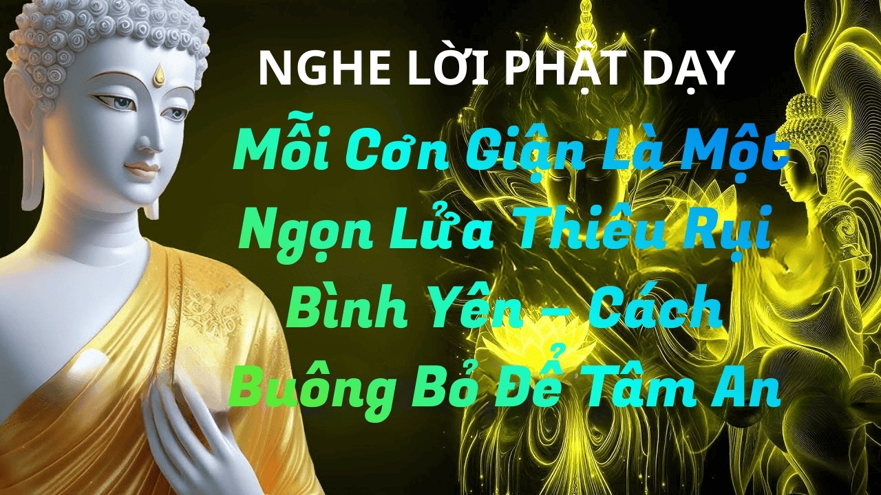 Mỗi Cơn Giận Là Một Ngọn Lửa Thiêu Rụi Bình Yên – Cách Buông Bỏ Để Tâm An#loi phat day #phat phap