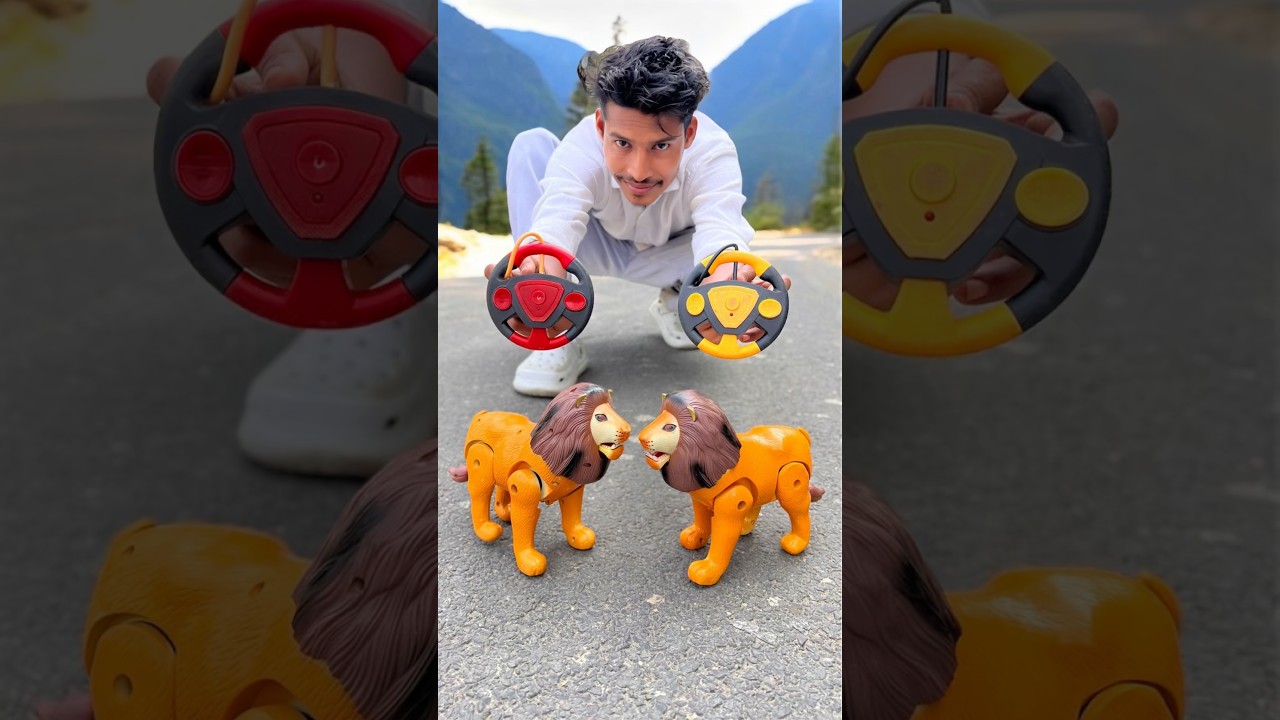 Rc Remote Control 2Kan Lion Unboxing Delam 😱