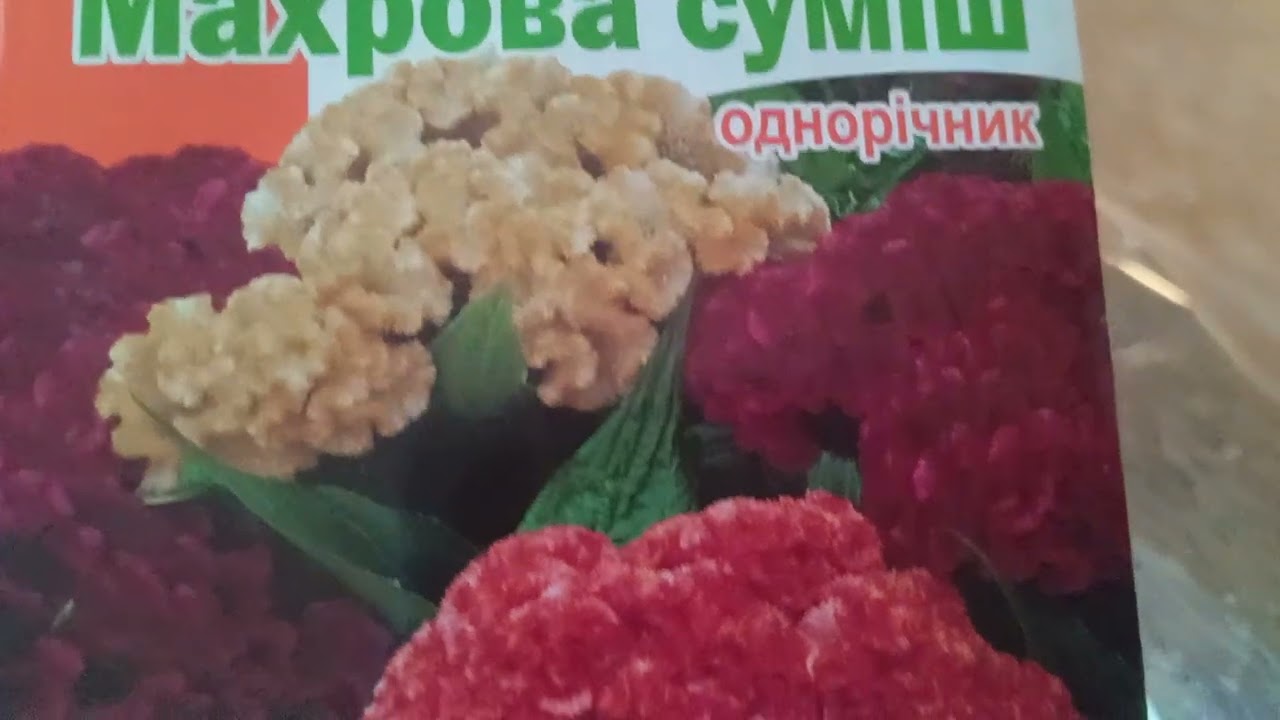 Що купила у Епіцентрі ,м.Миколаїв .