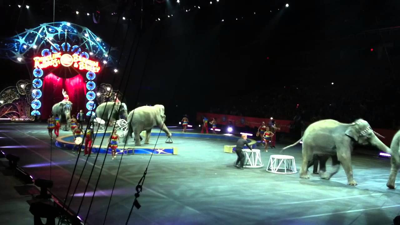 Circus Trip - Ringling Bros. and Barnum & Bailey - Elephant Show