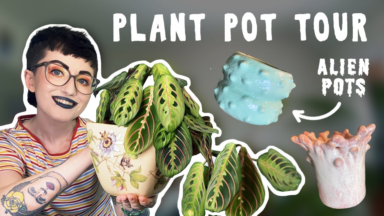my entire plant pot collection 🪴 houseplant styling, whimsical plant pots