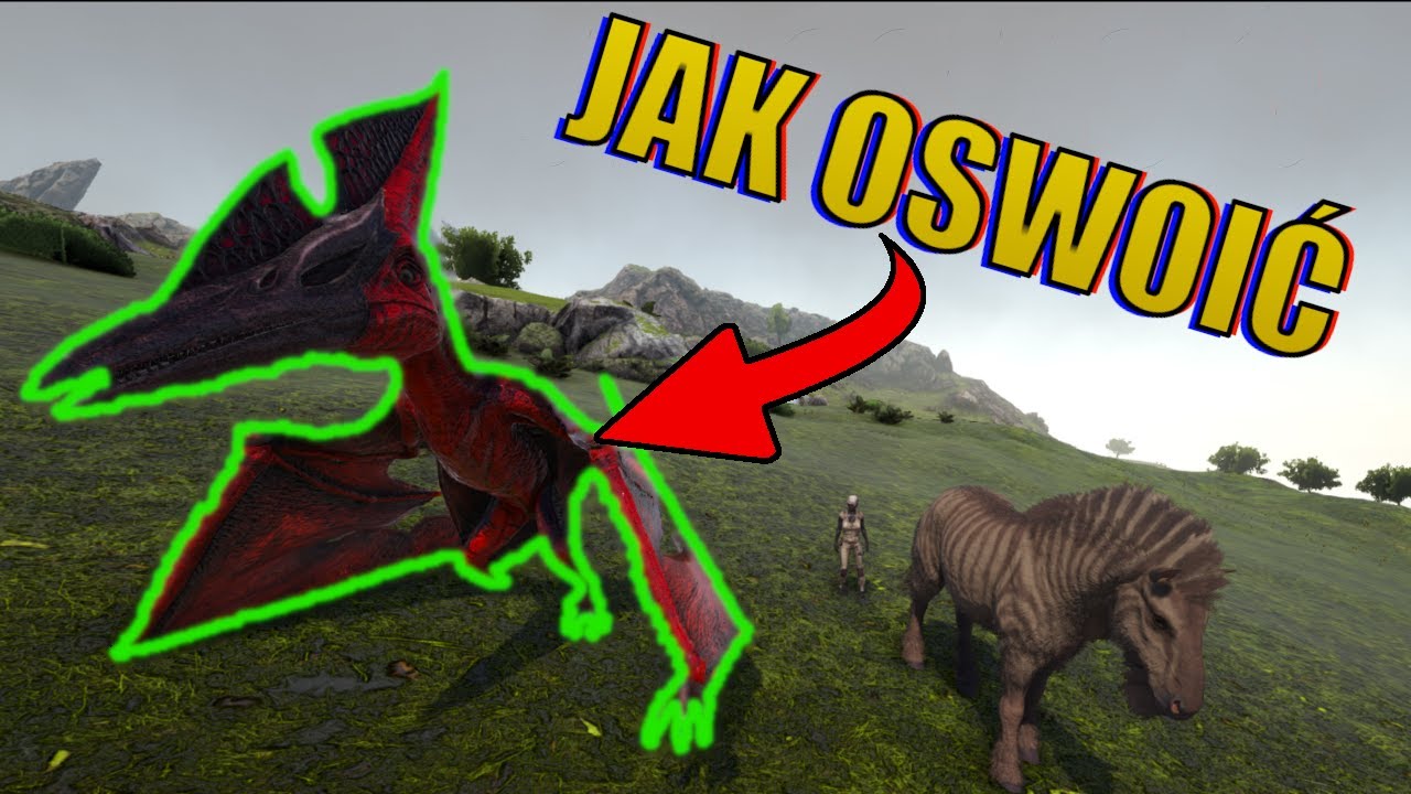 Jak ŁATWO oswoić pterka w Ark survival evolved