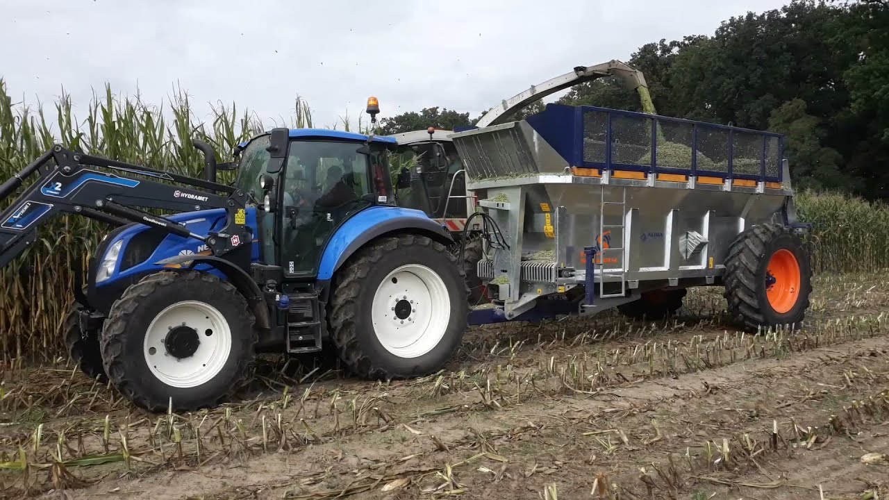 Kukurydza na kiszonke 2021 [ Zetor- John Deere - Deutz Fahr- New Holland-Alima bis- Metaltech ]