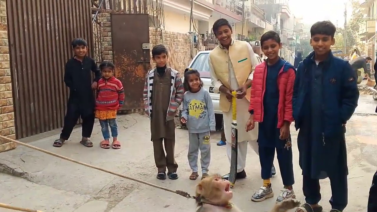 Monky tamash city Islamabad azamjutt Islamabad 