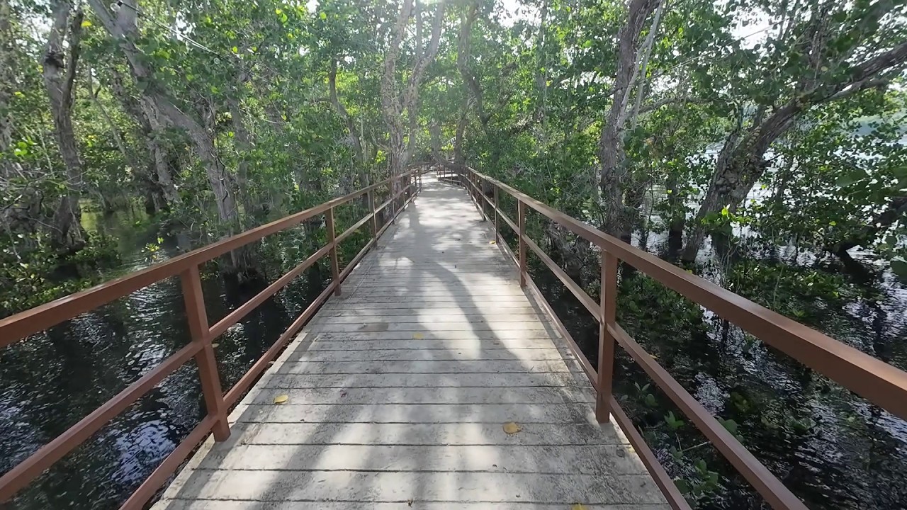 Almeja Azul – LYR Beach Resort Mangrove Forest