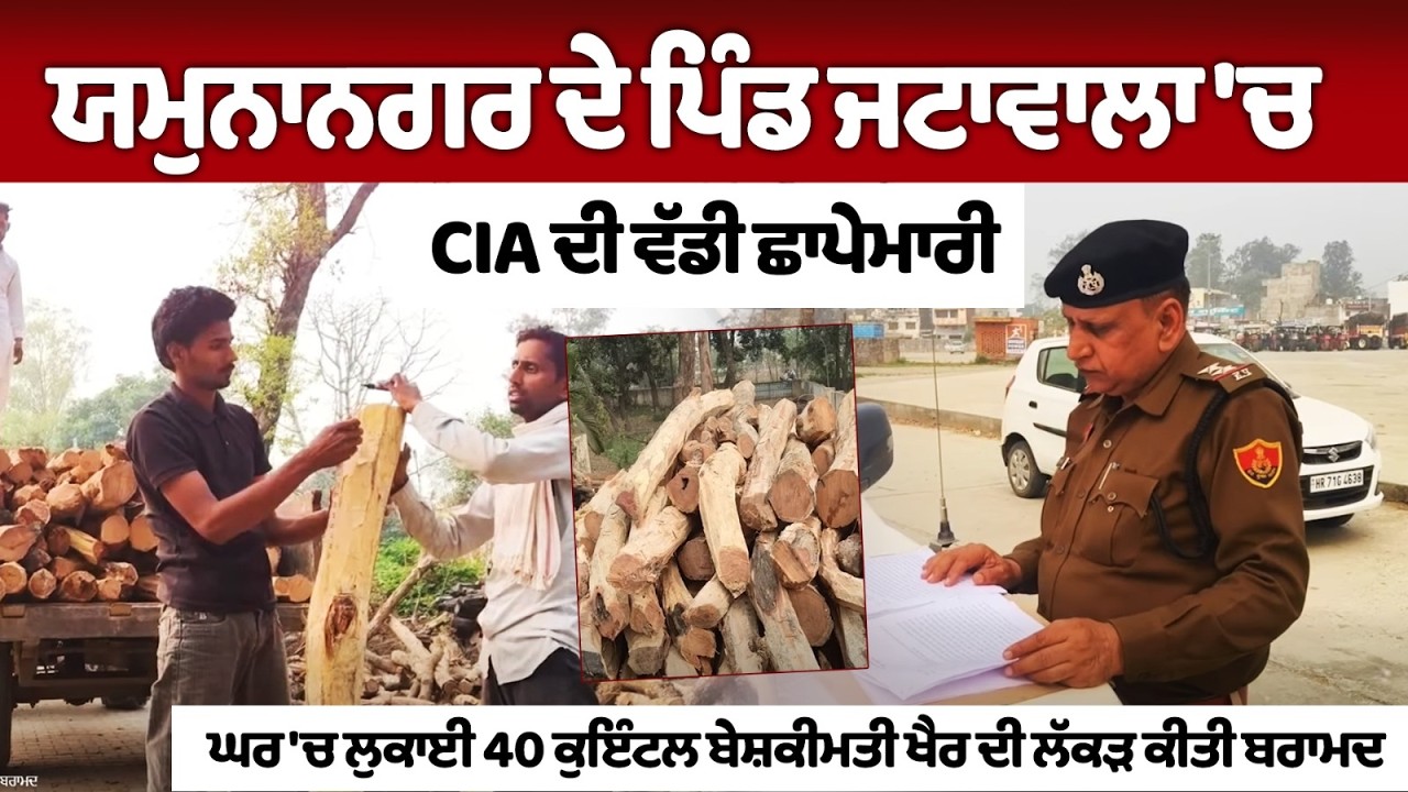 ਯਮੁਨਾਨਗਰ ਦੇ ਪਿੰਡ ਜਟਾਵਾਲਾ 'ਚ CIA ਦੀ ਵੱਡੀ ਛਾਪੇਮਾਰੀ