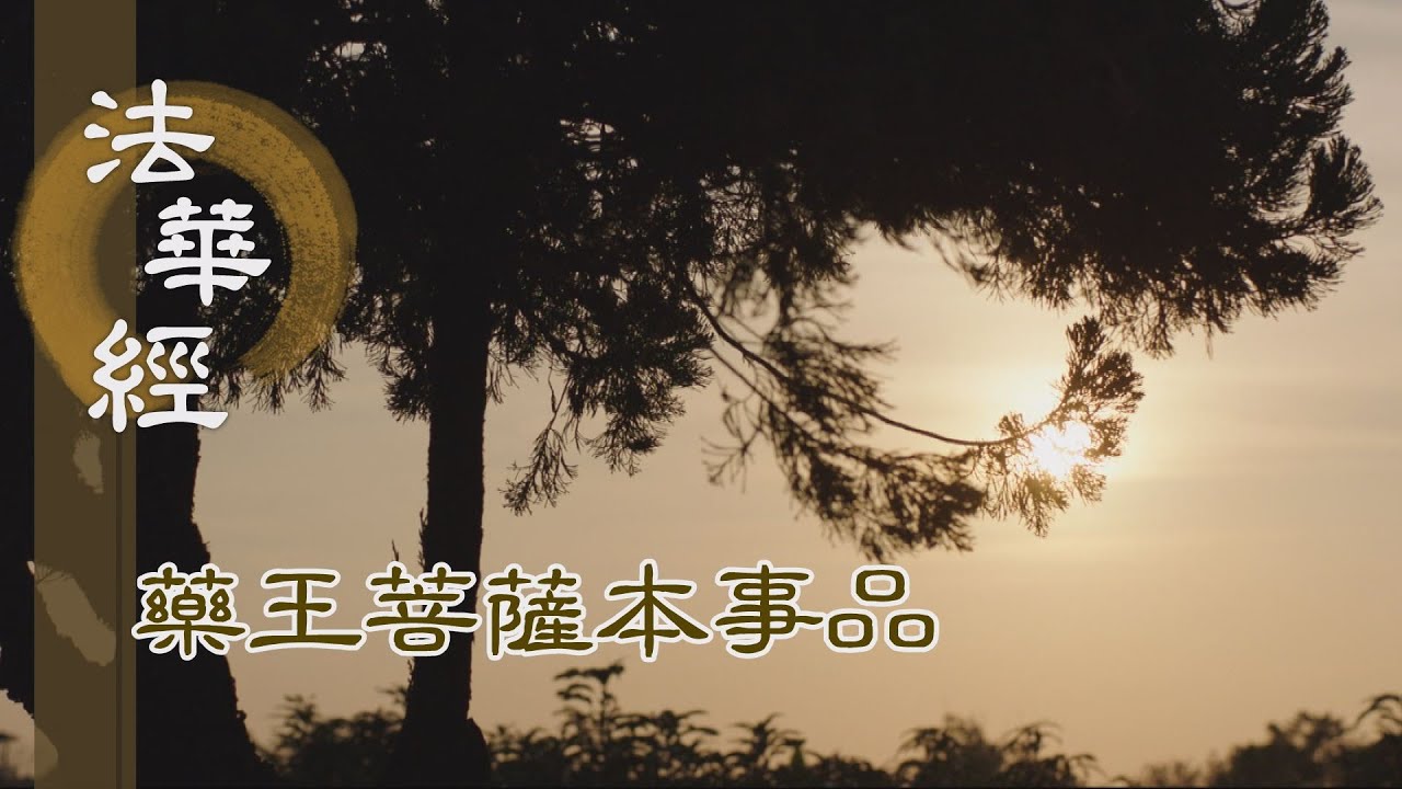 【靜思妙蓮華】 法華經 藥王菩薩本事品 - 隨順從善 深生歡喜 - 第1867集 20250206