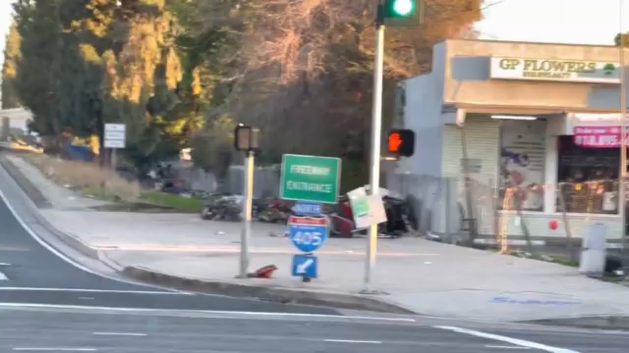 405 San Diego Freeway Southbound  San Fernando Valley: LOS Angeles Graffiti, Homeless Camps BOGOTA