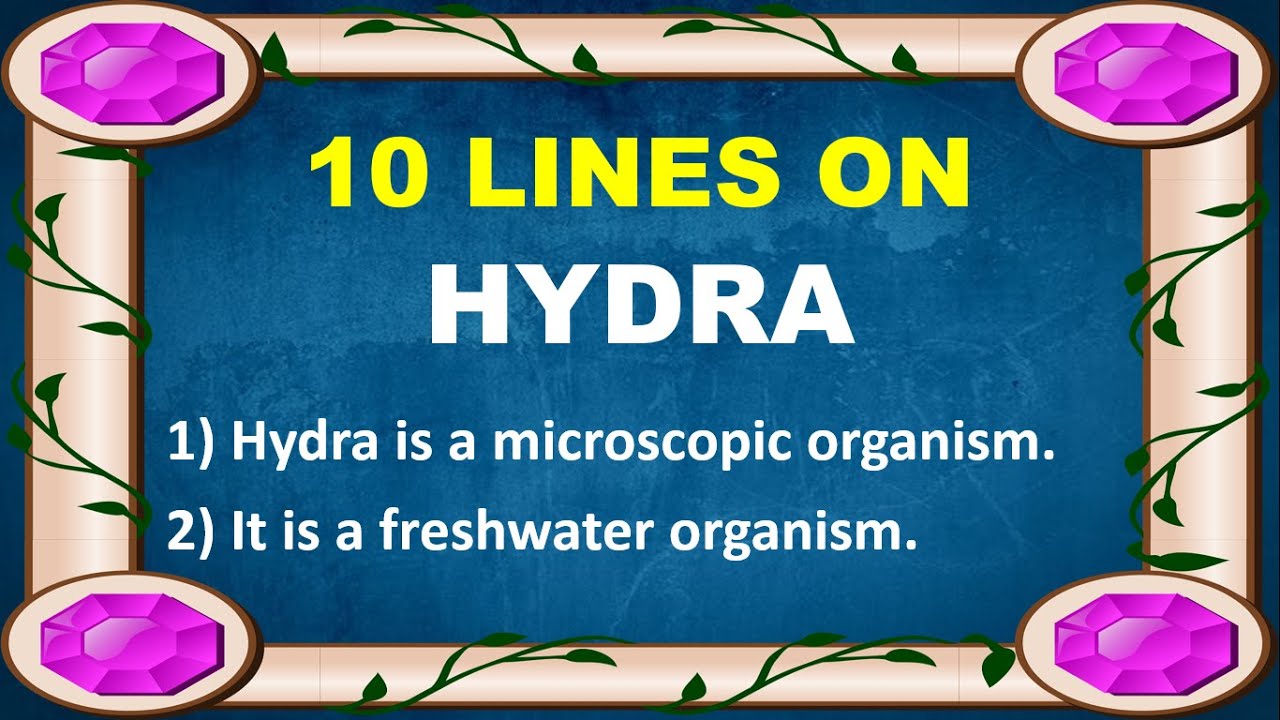 10 Lines on Hydra in English | Few Lines on Hydra | About Hydra in English