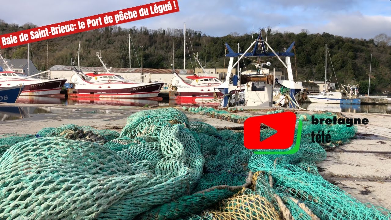 PLÉRIN  |  Port de Pêche de Saint-Brieuc Le Légué |  Bretagne Télé