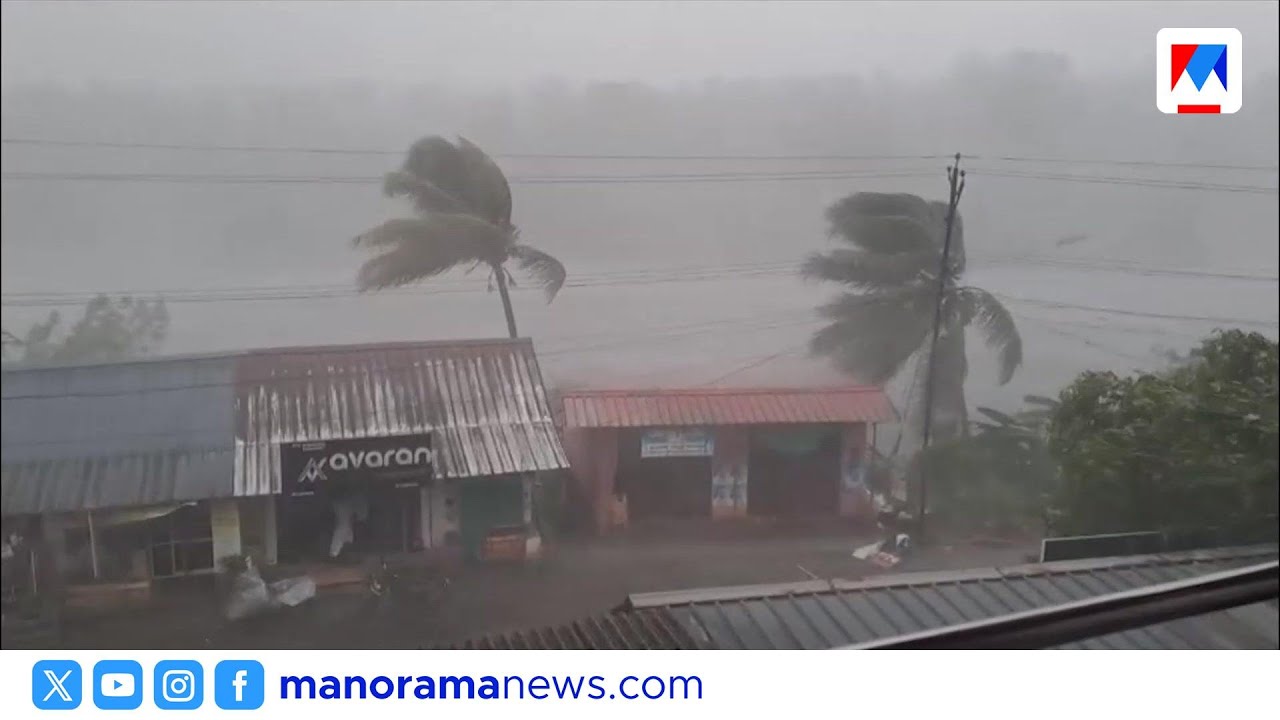 എറണാകുളത്ത് വേനൽമഴയിൽ വ്യാപക നാശം; മരങ്ങൾ കടപുഴകി | kochi