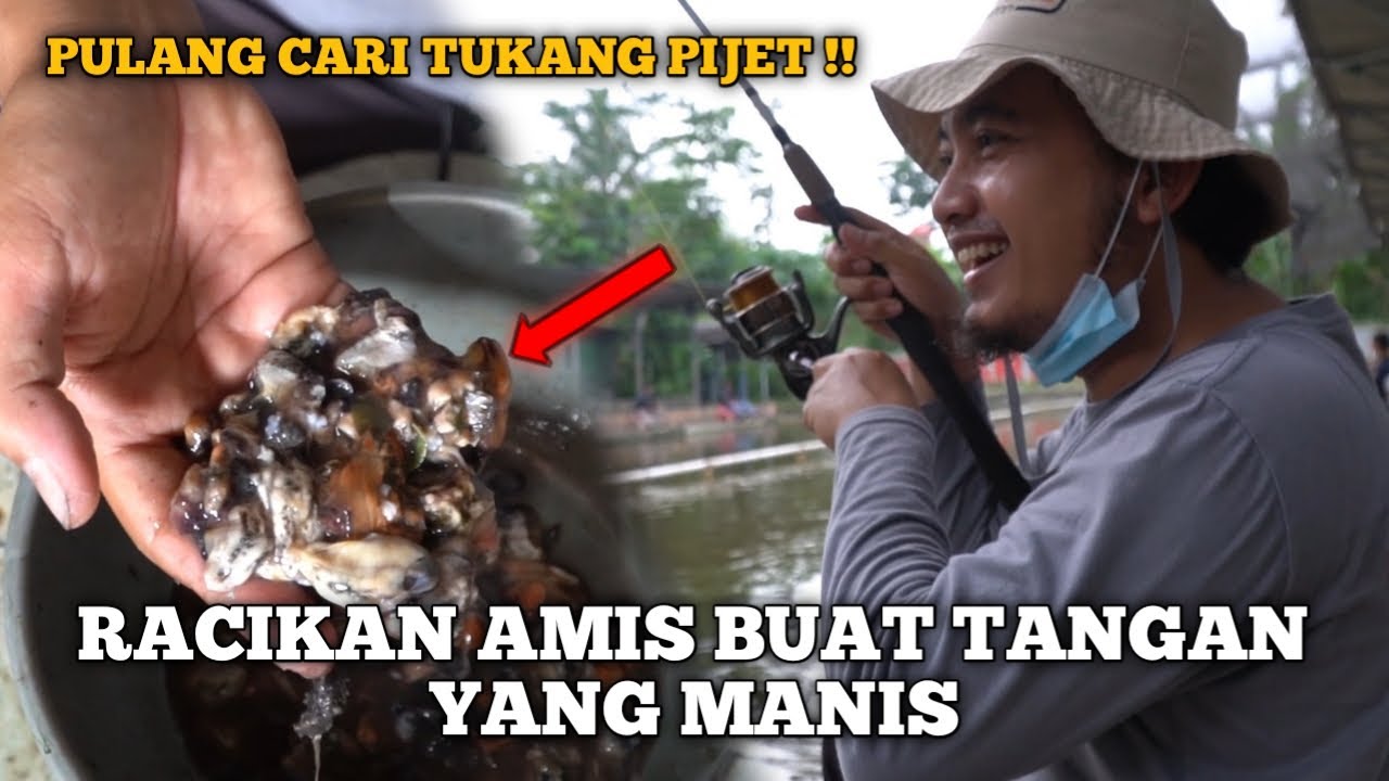 BEUUUH !! AMISNYA BIKIN IKAN NGUMPUL BROO ! LELE BARIS MINTA MAKAN..
