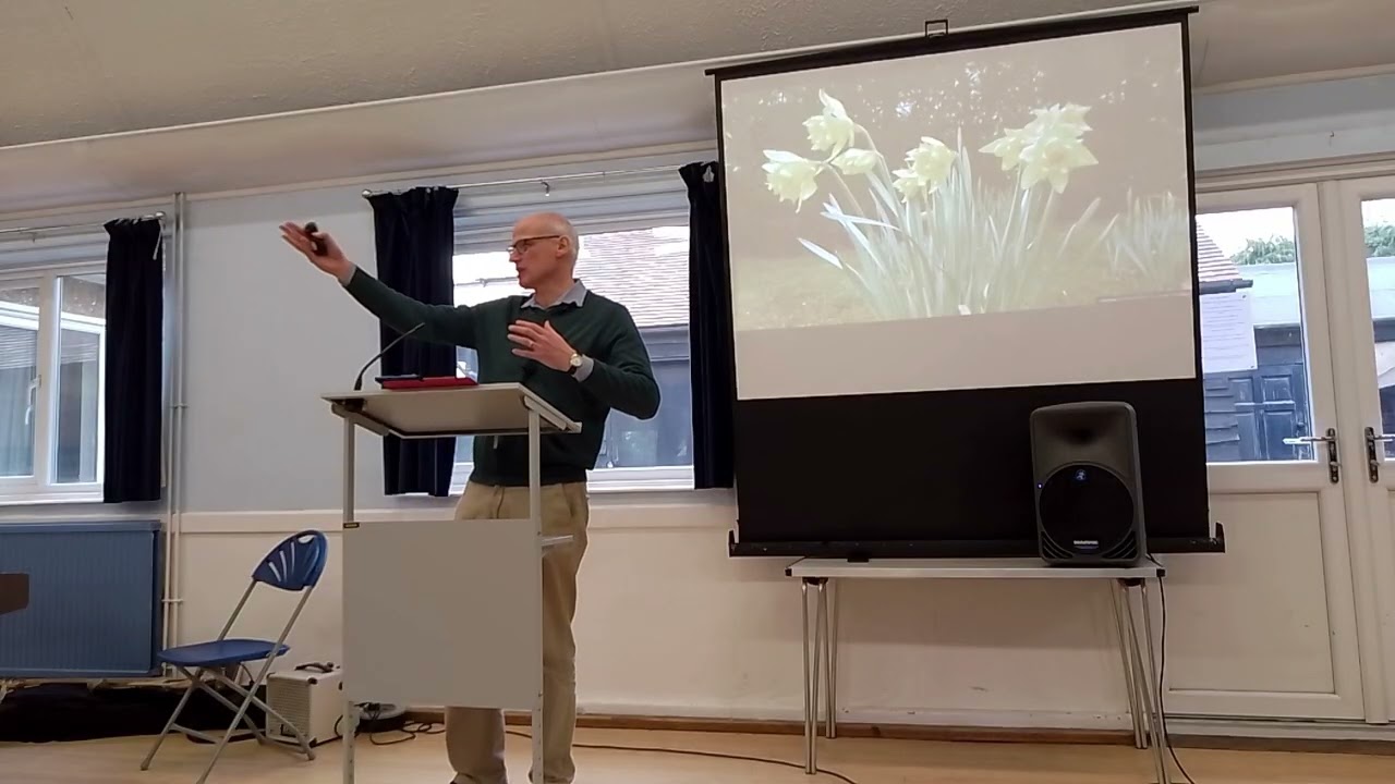 Genesis 11v10-12v3 Grace Church Wanstead 8/02/2026 David Gibbs