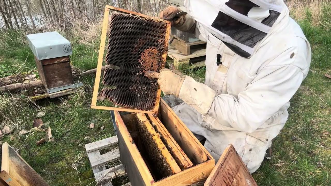 Déjà le printemps ou pas ? 
