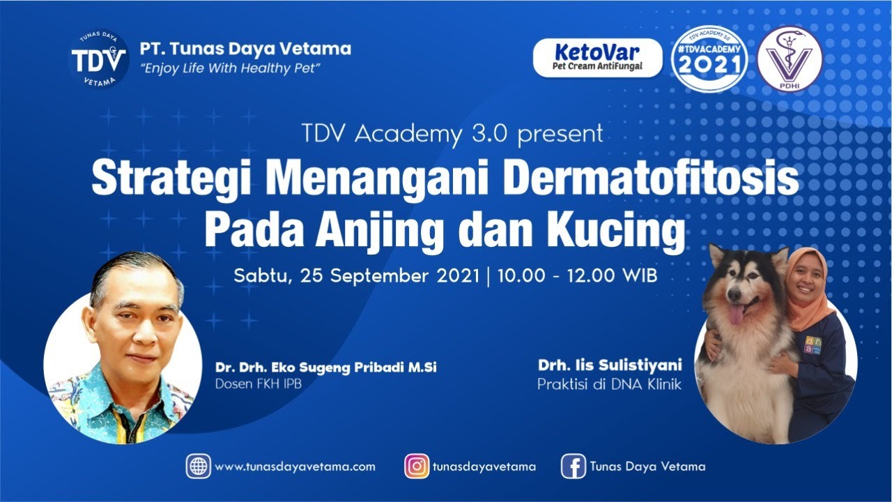 (Part 1) TDV Academy 3.0 2021 Strategi Menangani Dermatofitosis pada Anjing dan Kucing Drh Eko SP MS
