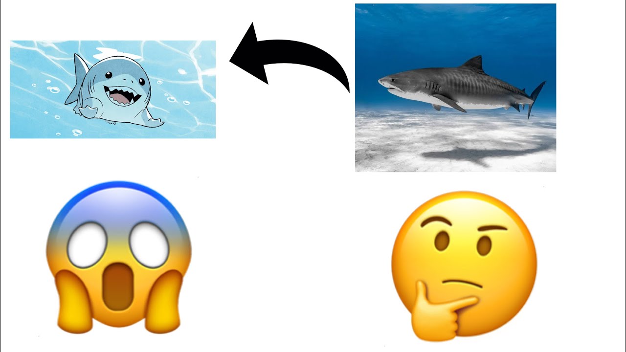 What if sharks evolved to become a land predator?