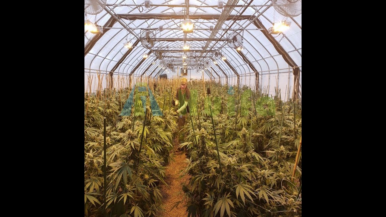 Light Dep Greenhouses