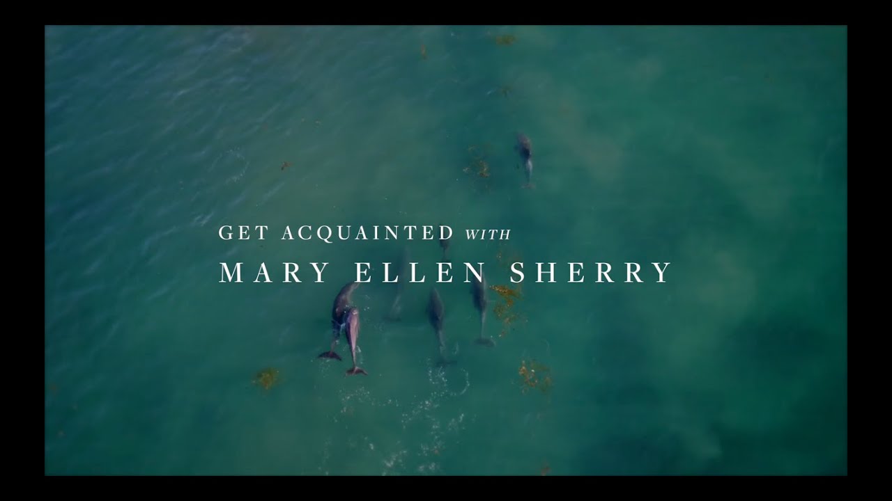 Sotheby's Agent Interview with Mary Ellen Sherry