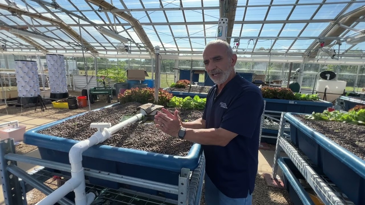 Bacteria are the Aquaponics Engine