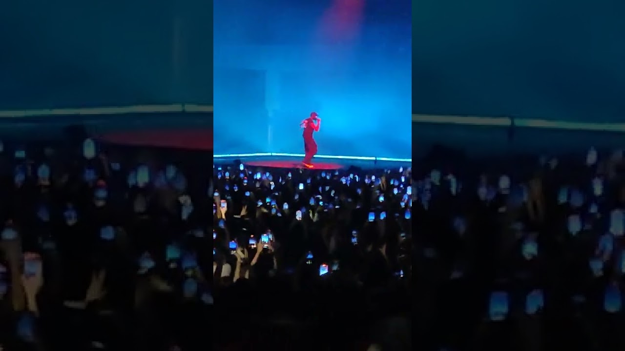 mosa&iuml;que solitaire damso Dijon 2022