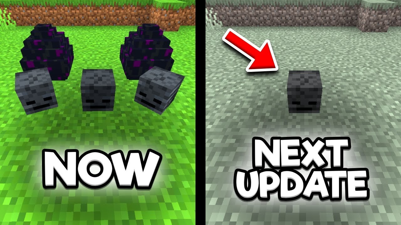 Minecraft Bugs I Don't Want Them To Fix
