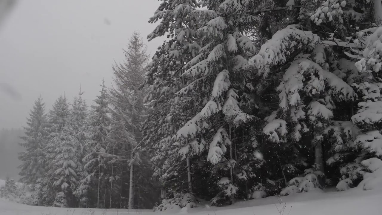 Burzum - Ｈｅｉｄｒ【﻿Ｄｏｏｍｅｒ】