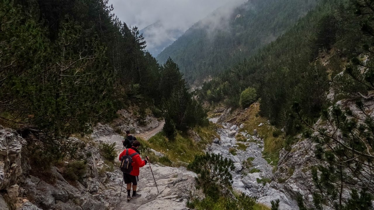 Βόλτα στον Όλυμπο από Πριόνια μέχρι το καταφύγιο Σπήλιος Αγαπητός (Ε4)