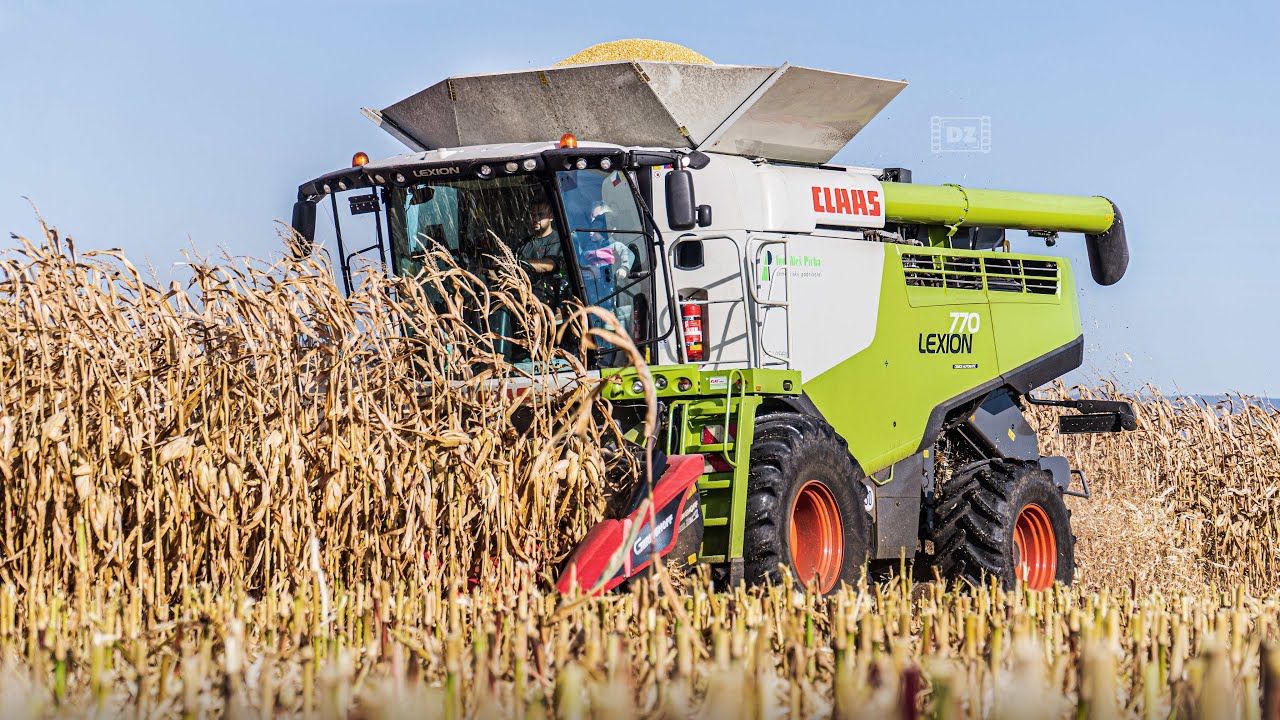 😍 Corn Harvest 2021 - Sklizeň kukuřice (Zrnovka) - Claas Lexion 770 💪